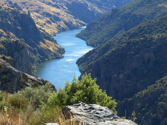 El Lagar Del Abuelo En Los Arribes Del Duero, Badilla, Самора Экстерьер фото