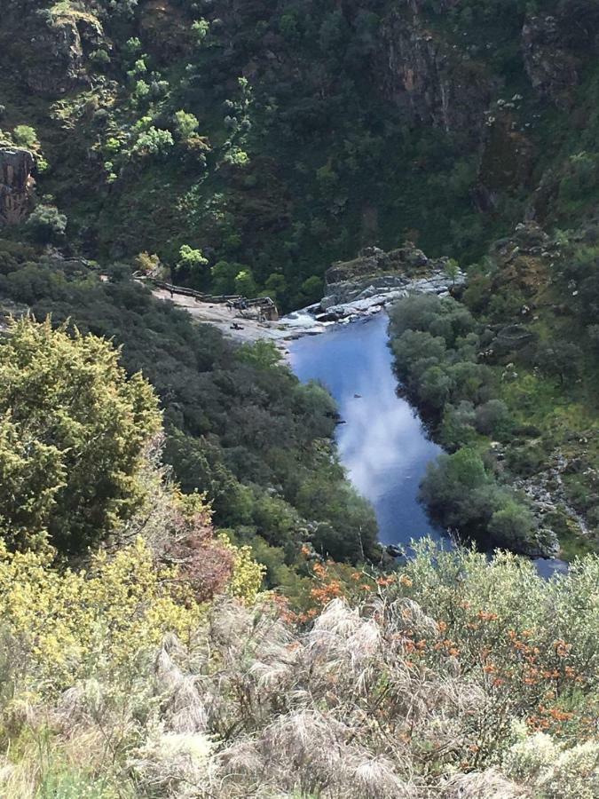 El Lagar Del Abuelo En Los Arribes Del Duero, Badilla, Самора Экстерьер фото